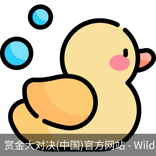 赏金大对决